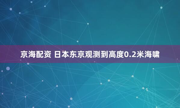 京海配资 日本东京观测到高度0.2米海啸