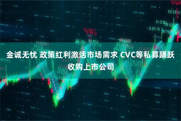 金诚无忧 政策红利激活市场需求 CVC等私募踊跃收购上市公司