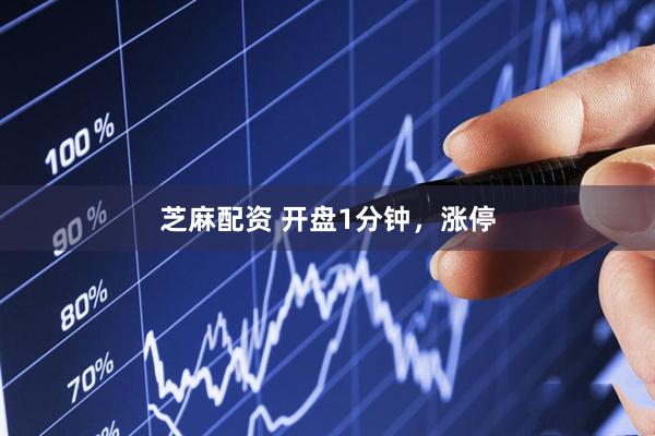 芝麻配资 开盘1分钟，涨停