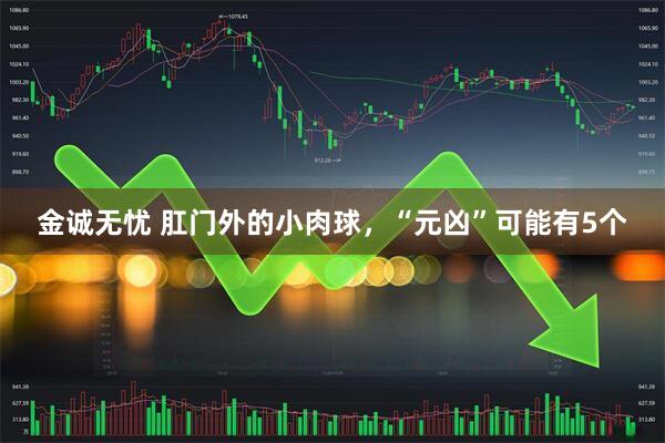 金诚无忧 肛门外的小肉球，“元凶”可能有5个